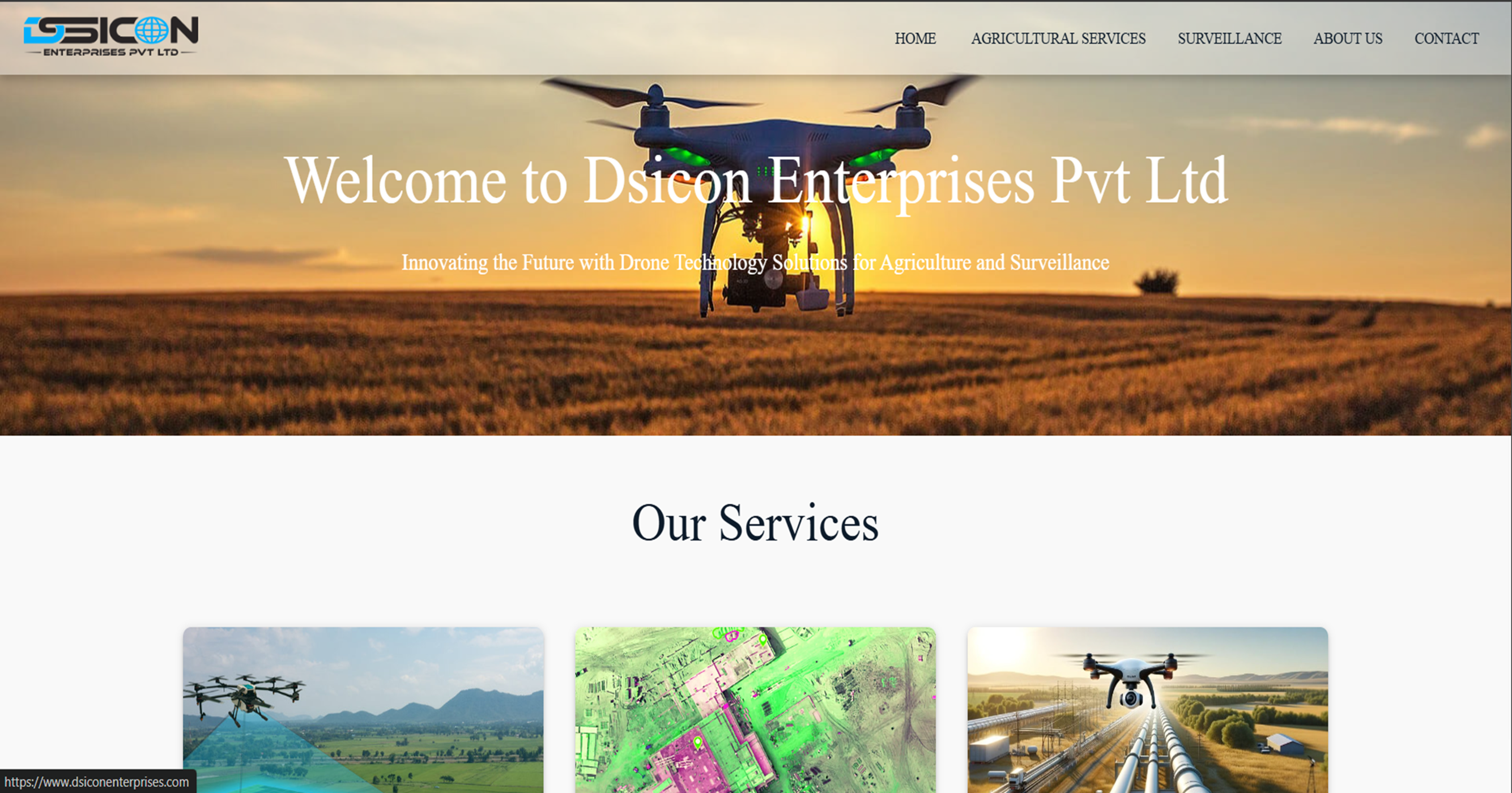 Service Website